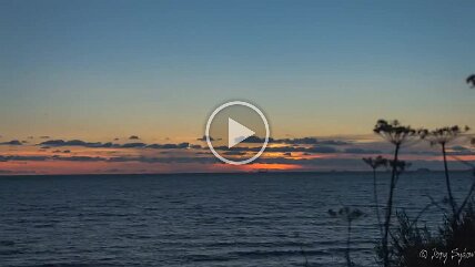 Sonstige Videos